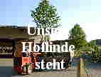 Hoflinde