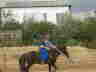 CIMG4136