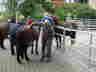 Gruppe Paffrath - 09