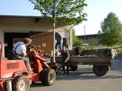 Hoflinde09