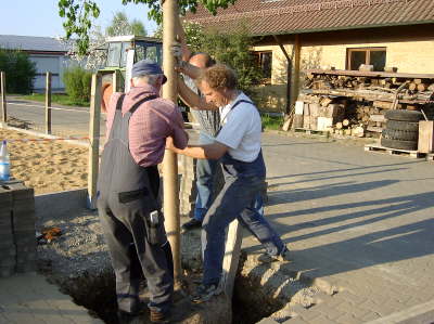 Hoflinde12