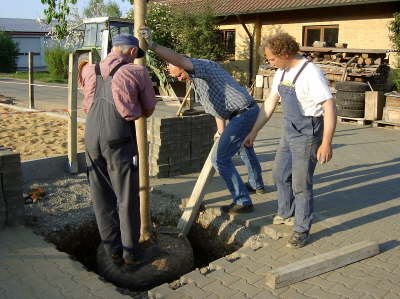 Hoflinde13