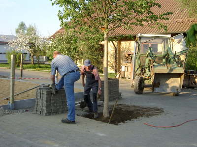 Hoflinde16