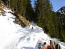 Klemen200549