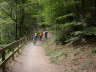 Ledrosee_2005_40