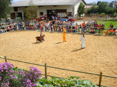 Pferdetheater Samstag28
