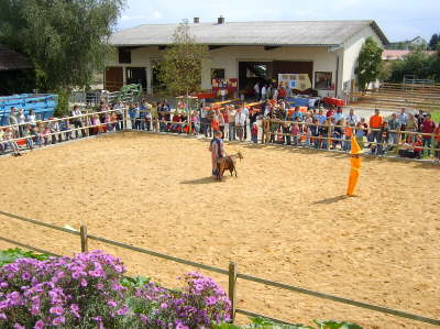 Pferdetheater Samstag30
