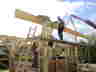 �berdachung Mistplatte23